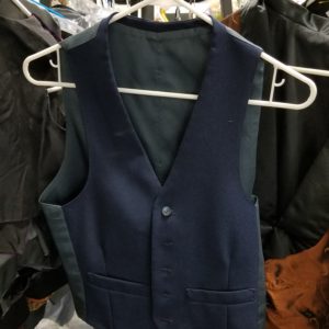 Blue Vest